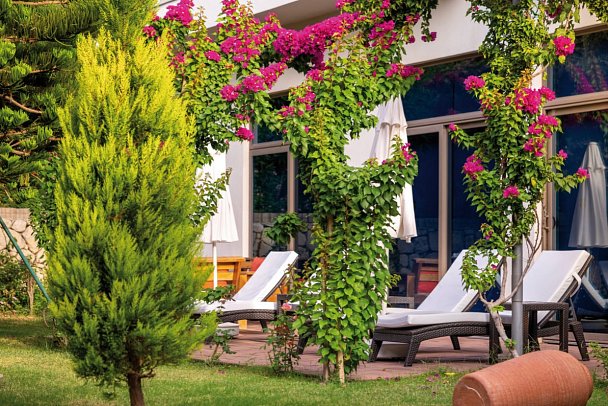 Commodore Elite Suites & Spa