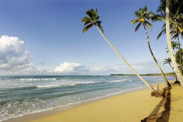 Viva V Samaná by Wyndham - Strand