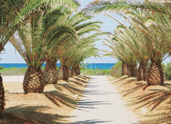 Grand Hotel Masseria Santa Lucia