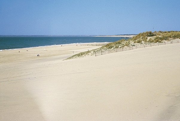 Airotel de la Côte d'Argent - Strand Lacanau