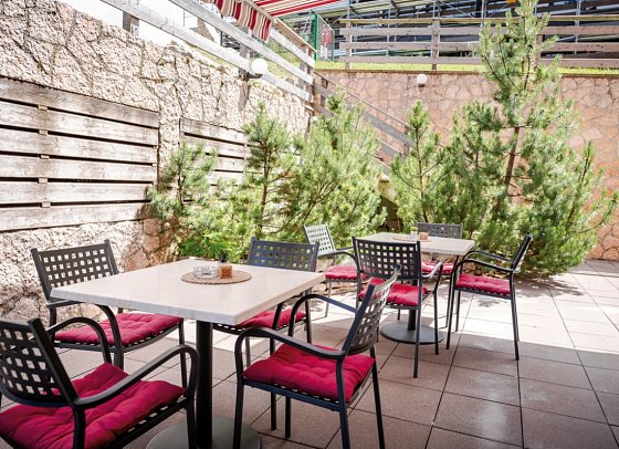 Alpine Mugon - Terrasse