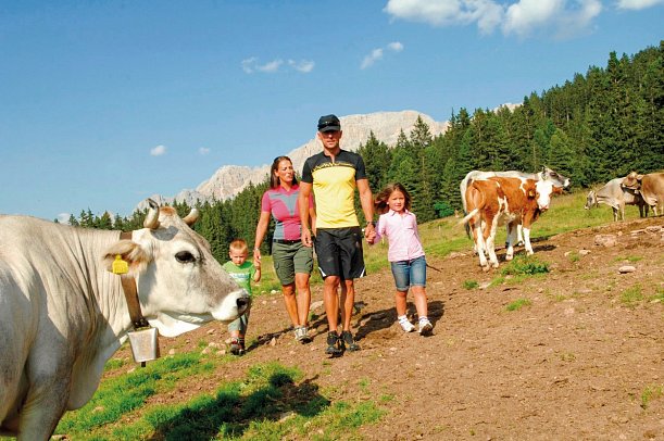 Active, Family & Wellness Hotel Shandranj