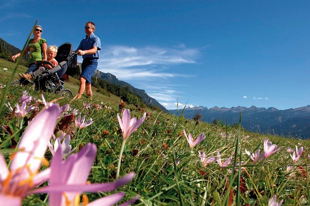 Active, Family & Wellness Hotel Shandranj