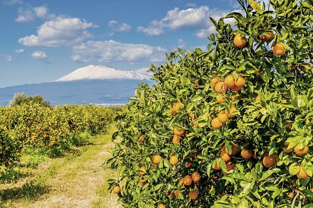 Sizilien - Siciliando - Ätna