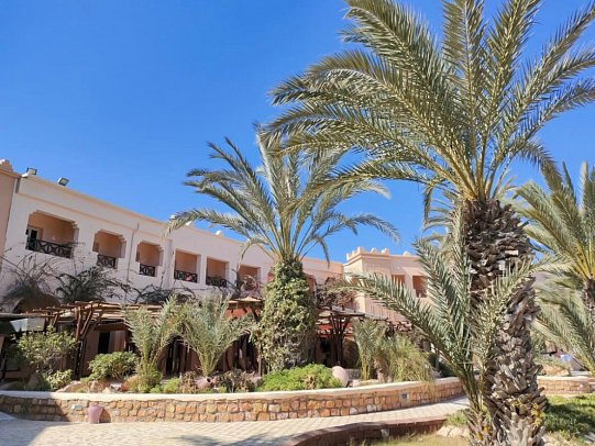 Vincci Safira Palms