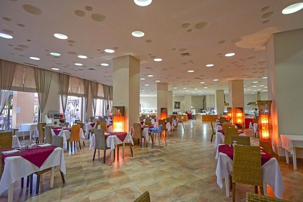 Vincci Safira Palms