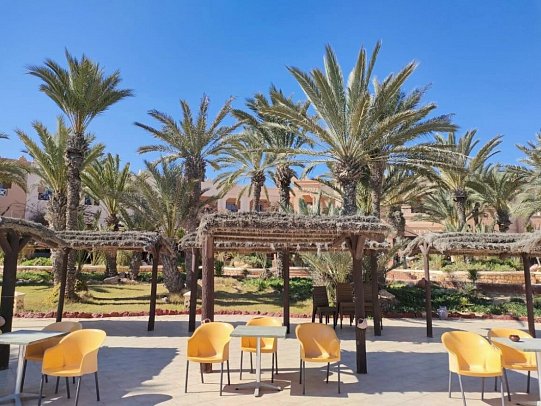 Vincci Safira Palms