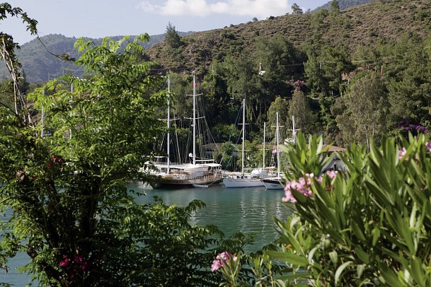 Club & Hotel Letoonia