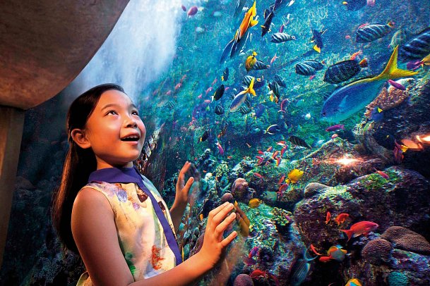 Atlantis, The Palm