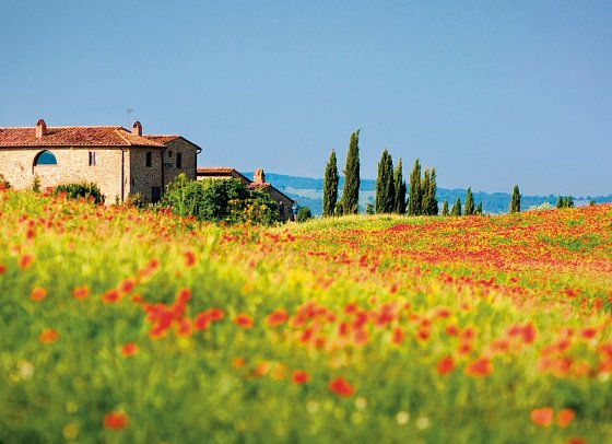 Autotour von Kultur zum Genuss in der Toskana - Landschaft in der Toskana