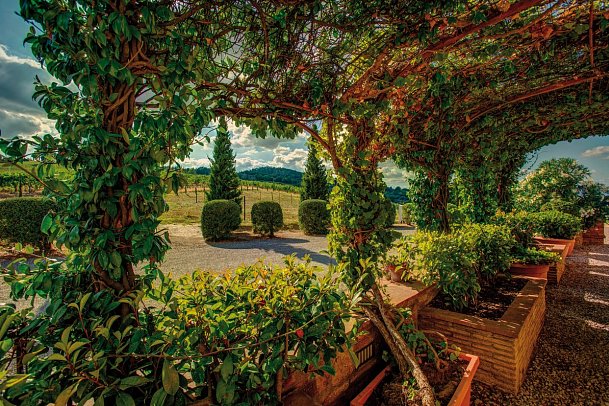 Il Casale del Cotone