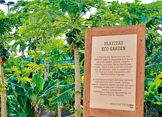 Playitas Villas