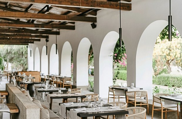 Minos Beach Art - Bacchus Restaurant