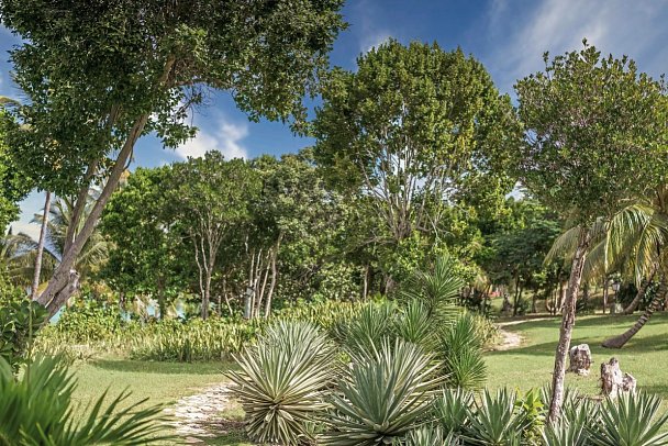 Sol Rio de Luna y Mares