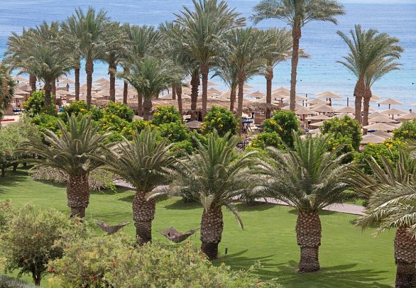 Fort Arabesque - The Beach Resort