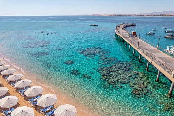 SRNTY Sahl Hasheesh