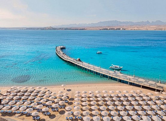 SRNTY Sahl Hasheesh