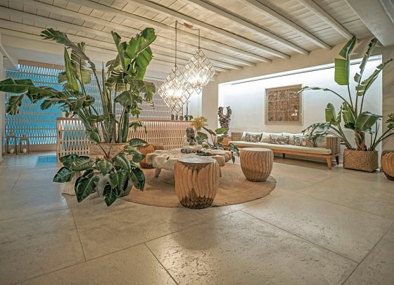 Asty Mykonos Hotel & Spa