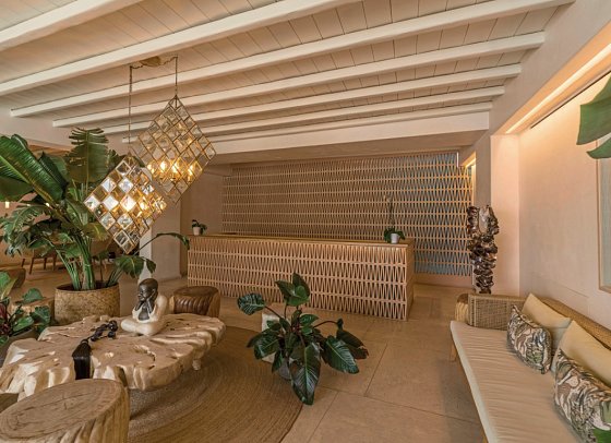 Asty Mykonos Hotel & Spa