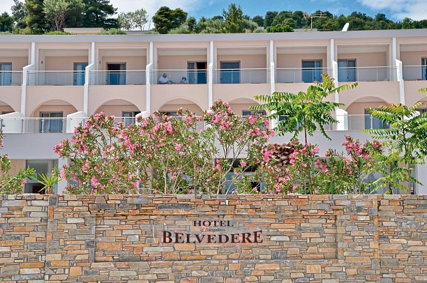 Belvedere Dolphin