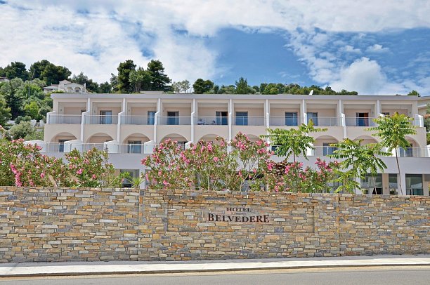 Belvedere Dolphin