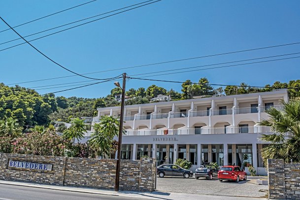 Belvedere Dolphin