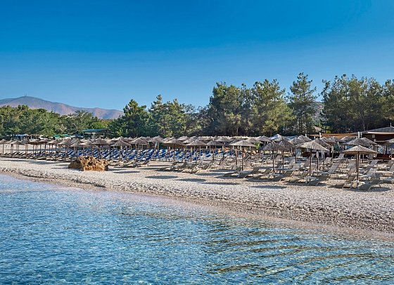 Alexandra Beach Spa Resort