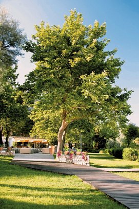 Makryammos Bungalows