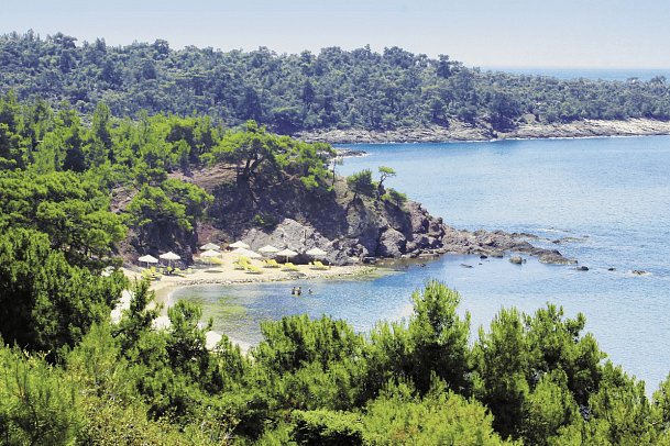 Royal Paradise Beach Resort & Spa