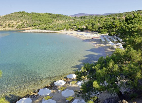 Royal Paradise Beach Resort & Spa
