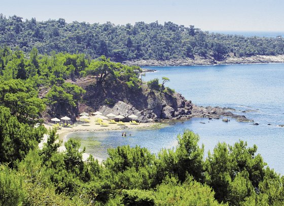 Royal Paradise Beach Resort & Spa