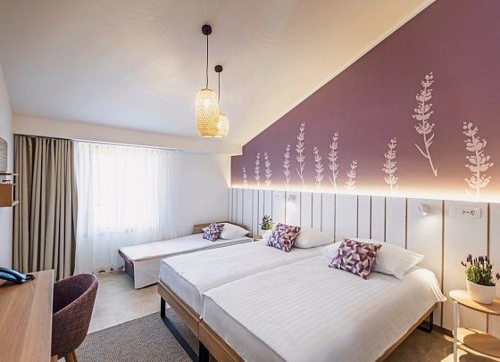 Vile Park Premium - Wohnbeispiel Doppelzimmer Premium mit Zustellbett (Zimmercodierung DM2)