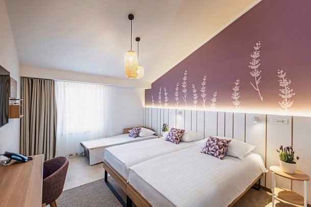 Vile Park Premium - Wohnbeispiel Doppelzimmer Premium mit Zustellbett (Zimmercodierung DM2)