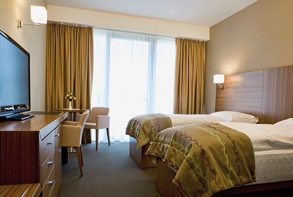 Bohinj Eco Hotel - Wohnbeispiel Doppelzimmer Superior (Zimmercodierung DS1)