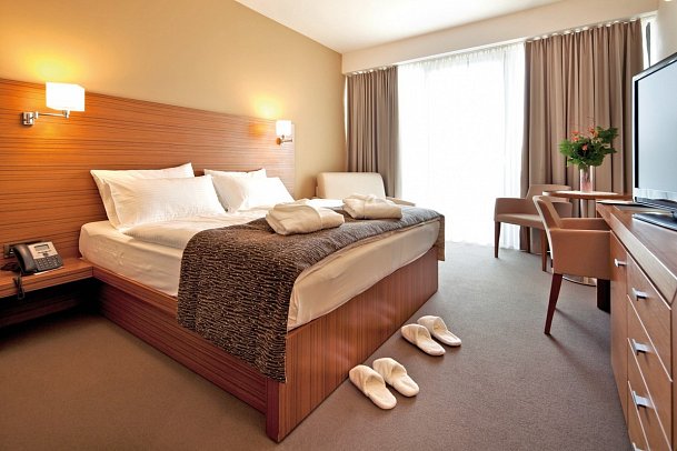 Bohinj Eco Hotel - Wohnbeispiel Doppelzimmer Executive (Zimmercodierung DT1)