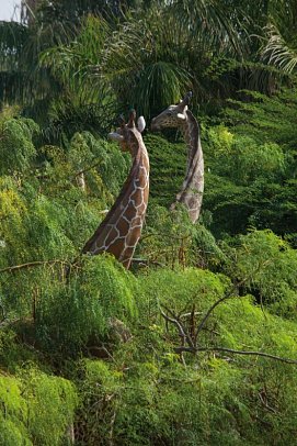 Lopesan Baobab Resort