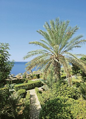 The Sindbad