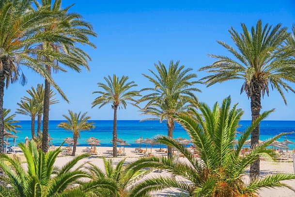 Calimera Delfino Beach Resort & Spa