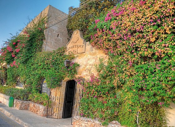 Cornucopia Hotel