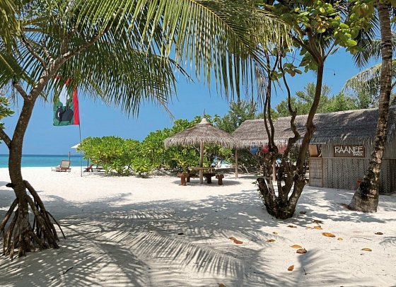 The Barefoot Eco Hotel