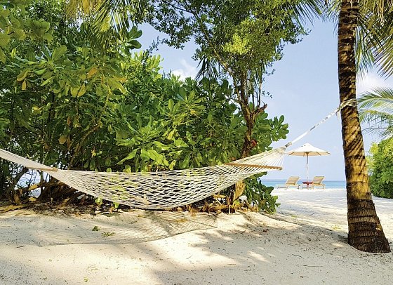 The Barefoot Eco Hotel