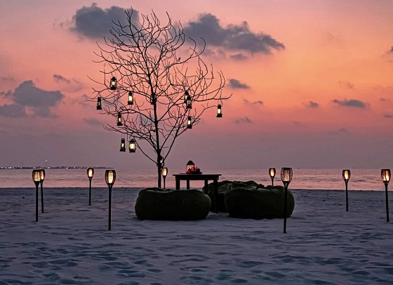 Coco Palm Dhuni Kolhu