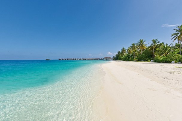 Safari Island Resort & Spa