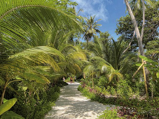 Malahini Kuda Bandos