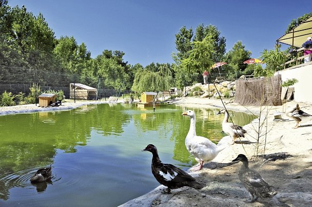 Domaine la Yole Camping Lodge (by Happy Camp)