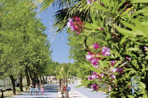 Domaine la Yole Camping Lodge (by Happy Camp)