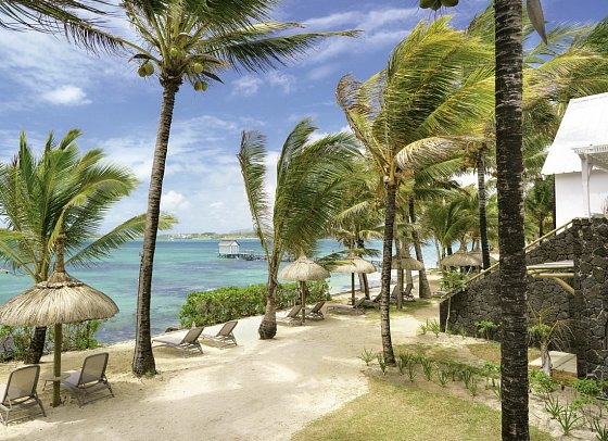 Tropical Attitude