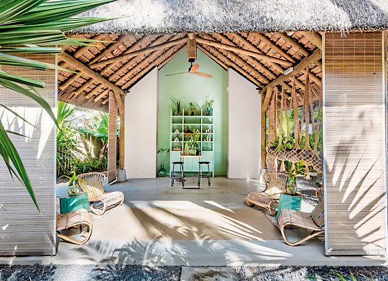 Tropical Attitude