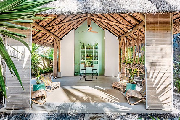 Tropical Attitude