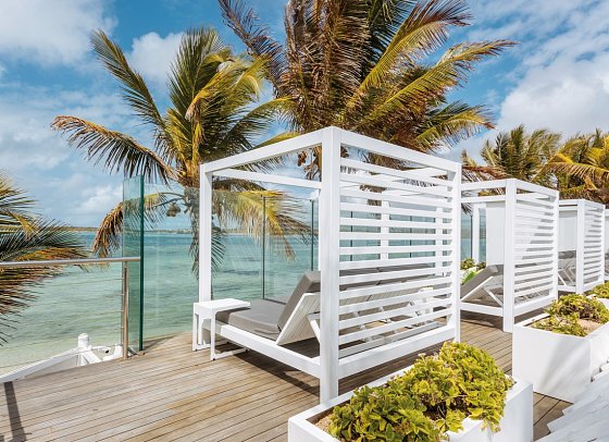 Tropical Attitude